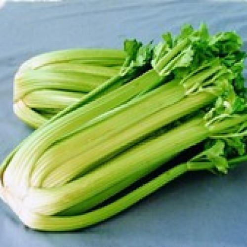 Fresh celery